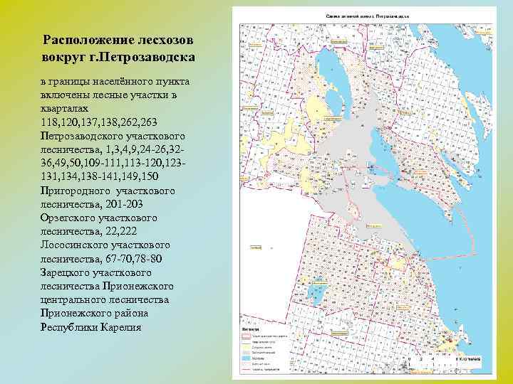 Расположение лесхозов вокруг г. Петрозаводска в границы населённого пункта включены лесные участки в кварталах