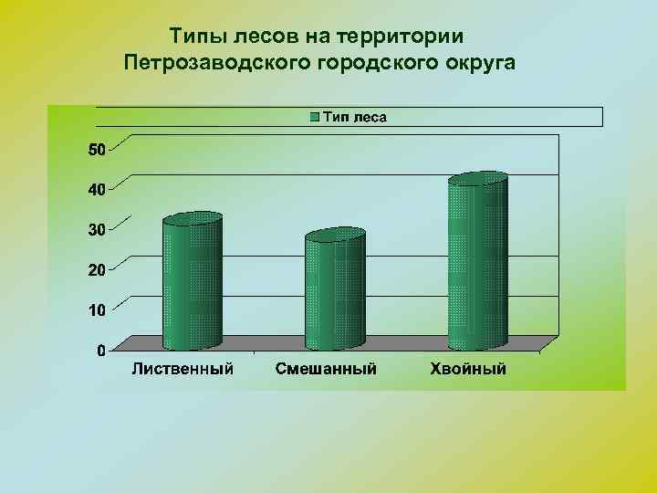 Типы лесов на территории Петрозаводского городского округа 