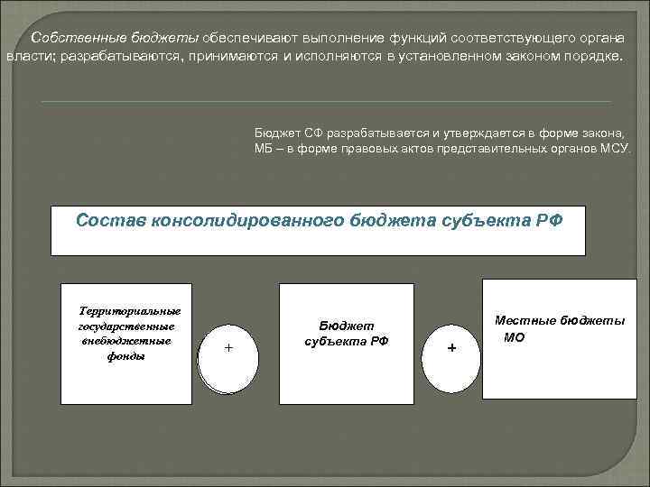 Собственные бюджеты обеспечивают выполнение функций соответствующего органа власти; разрабатываются, принимаются и исполняются в установленном