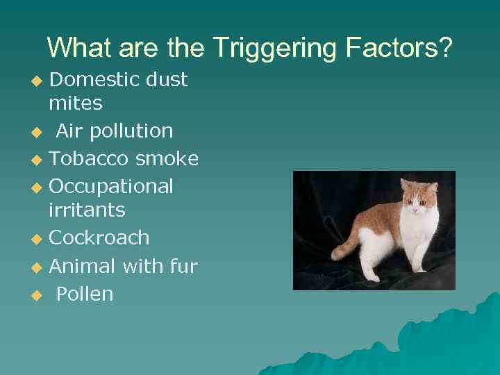 What are the Triggering Factors? Domestic dust mites u Air pollution u Tobacco smoke