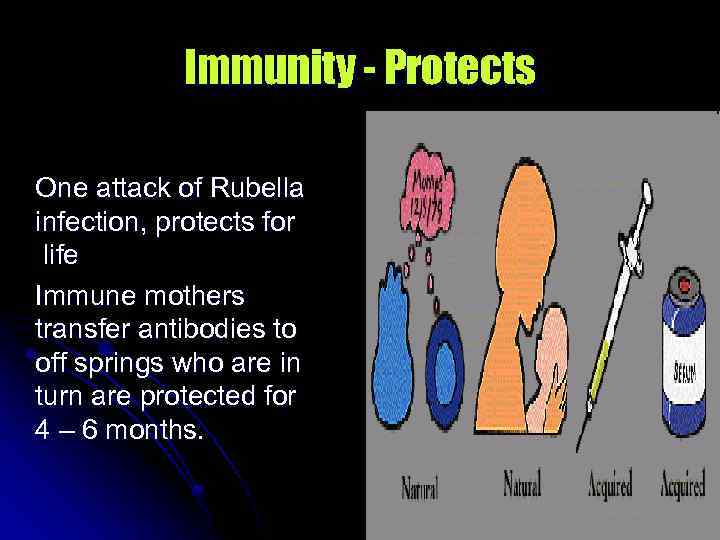 Immunity - Protects One attack of Rubella infection, protects for life Immune mothers transfer