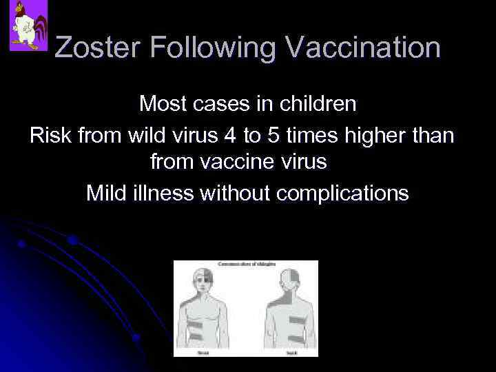 Zoster Following Vaccination Most cases in children Risk from wild virus 4 to 5