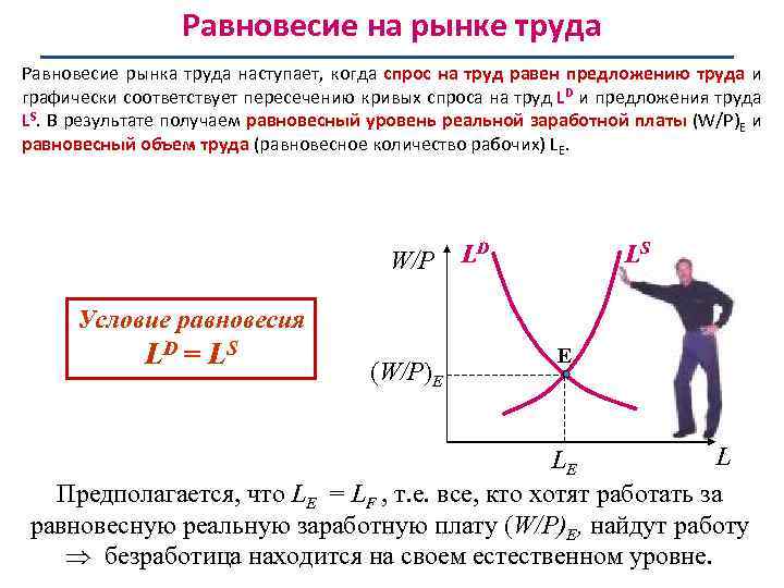 Равновесие на рынке труда Равновесие рынка труда наступает, когда спрос на труд равен предложению