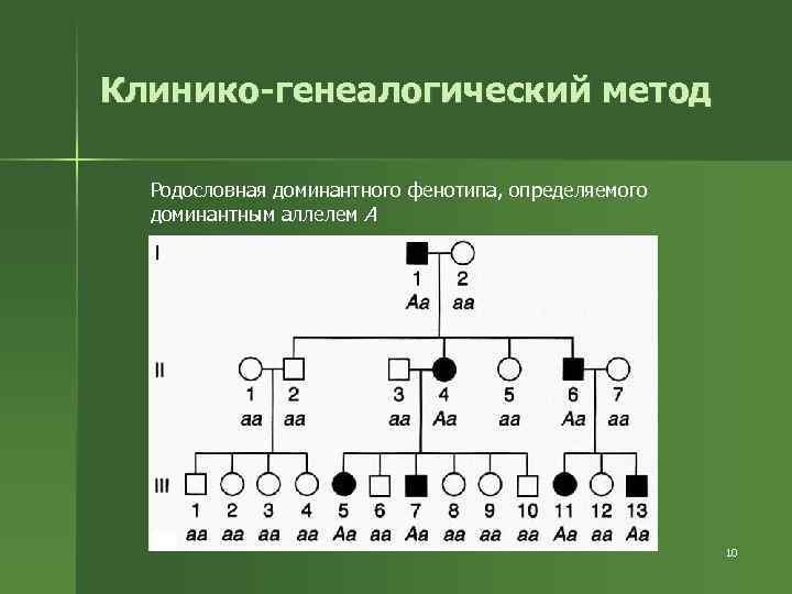 Клинико-генеалогический метод Родословная доминантного фенотипа, определяемого доминантным аллелем А 10 