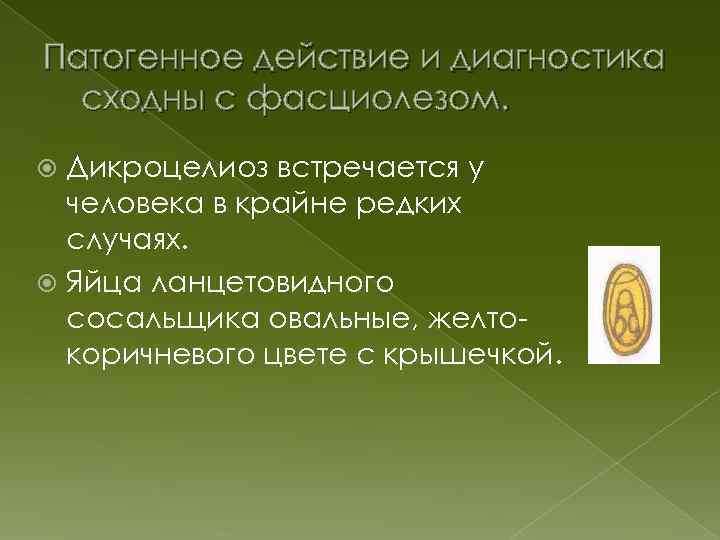 Патогенное действие и диагностика сходны с фасциолезом. Дикроцелиоз встречается у человека в крайне редких