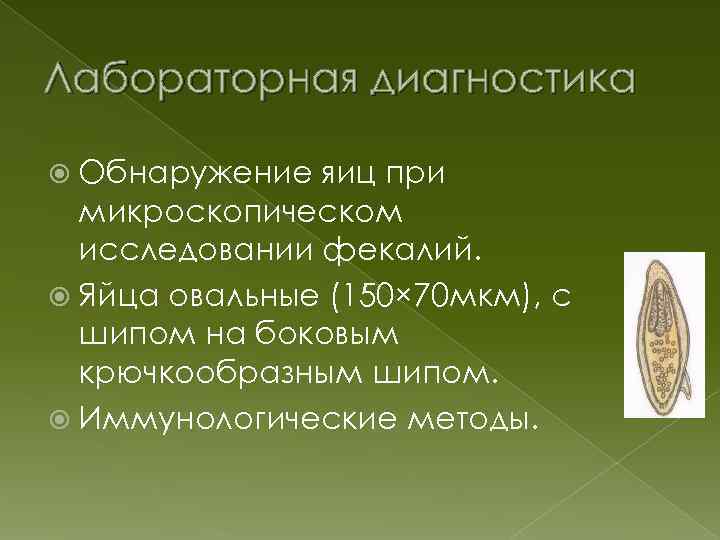 Лабораторная диагностика Обнаружение яиц при микроскопическом исследовании фекалий. Яйца овальные (150× 70 мкм), с