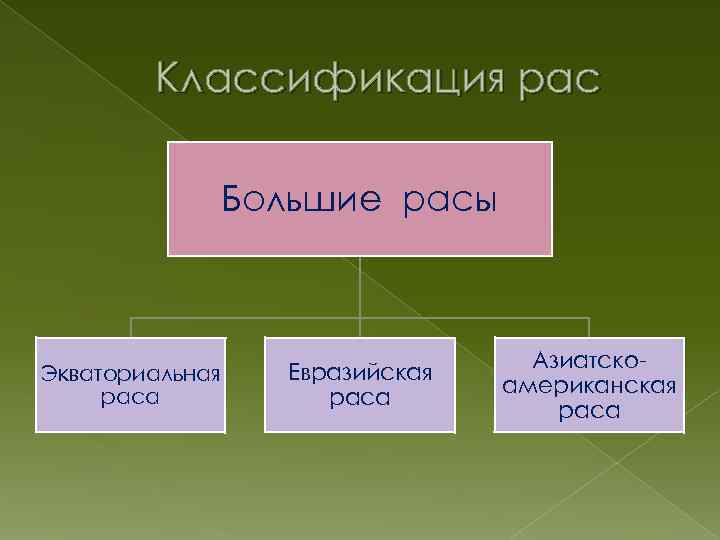 Классификация рас Большие расы Экваториальная раса Евразийская раса Азиатскоамериканская раса 