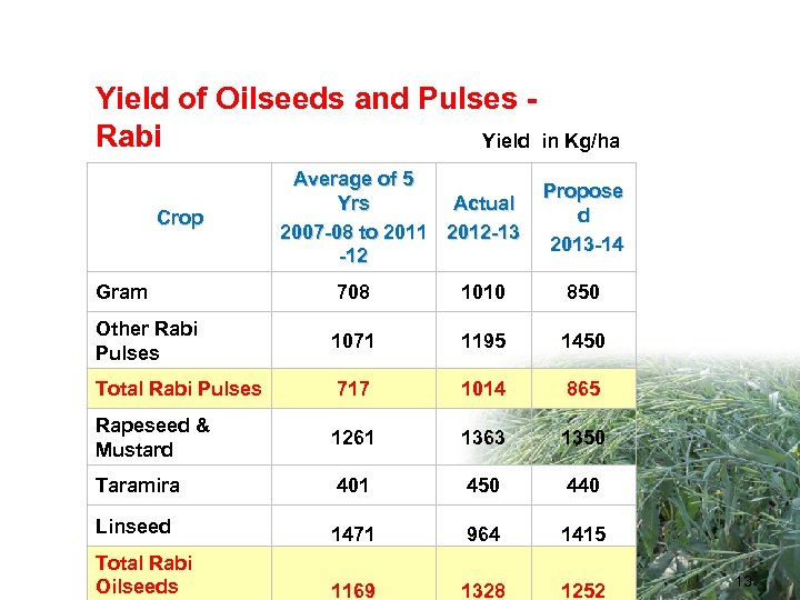 Yield of Oilseeds and Pulses - Rabi Yield in Kg/ha Crop Average of 5