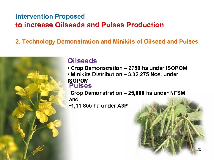 Intervention Proposed to increase Oilseeds and Pulses Production 2. Technology Demonstration and Minikits of