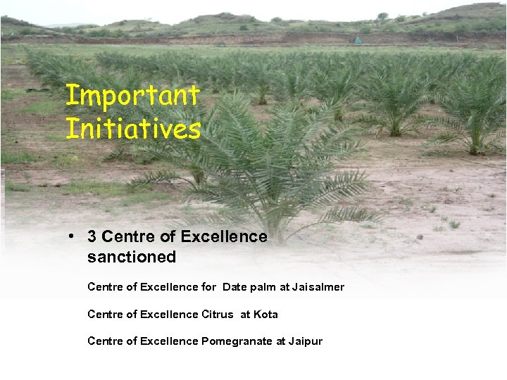 Important Initiatives • 3 Centre of Excellence sanctioned Centre of Excellence for Date palm