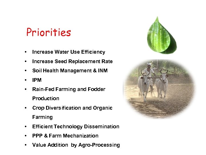 Priorities • Increase Water Use Efficiency • Increase Seed Replacement Rate • Soil Health
