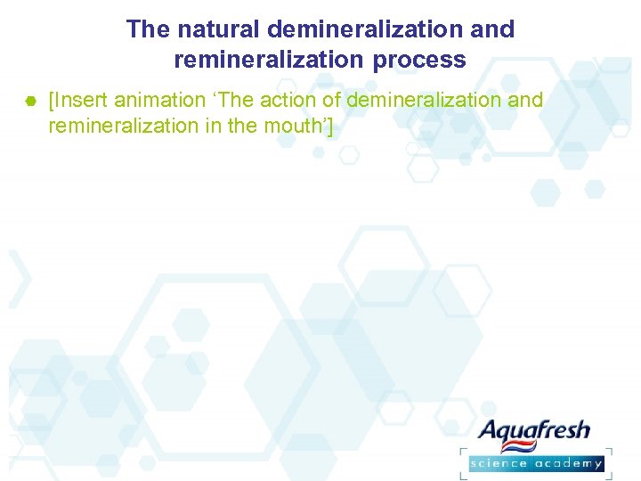 The natural demineralization and remineralization process [Insert animation ‘The action of demineralization and remineralization