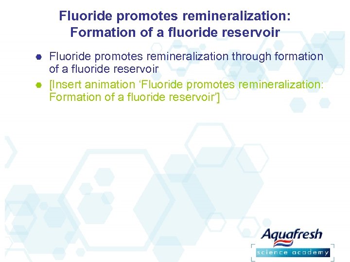 Fluoride promotes remineralization: Formation of a fluoride reservoir Fluoride promotes remineralization through formation of