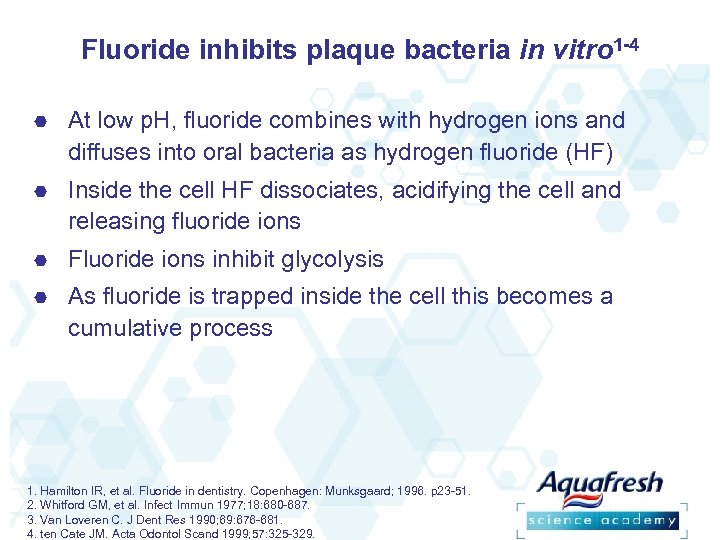 Fluoride inhibits plaque bacteria in vitro 1 -4 At low p. H, fluoride combines