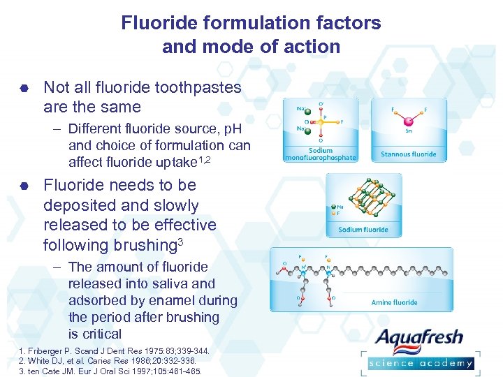 Fluoride formulation factors and mode of action Not all fluoride toothpastes are the same