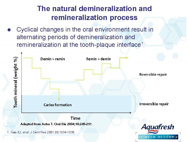 The natural demineralization and remineralization process Cyclical changes in the oral environment result in