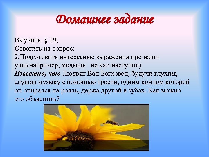 Домашнее задание Выучить § 19, Ответить на вопрос: 2. Подготовить интересные выражения про наши