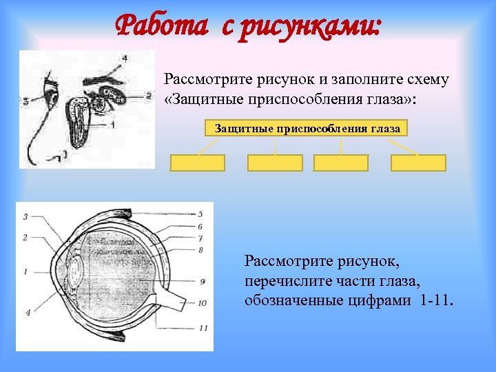 Работа с рисунками: Рассмотрите рисунок и заполните схему «Защитные приспособления глаза» : Защитные приспособления