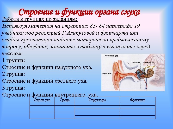 Практическая работа изучение строения органа слуха. Слуховой анализатор строение и функции. Строение слухового анализатора 8 класс. Строение органа слуха таблица. Функции органов слуха человека.