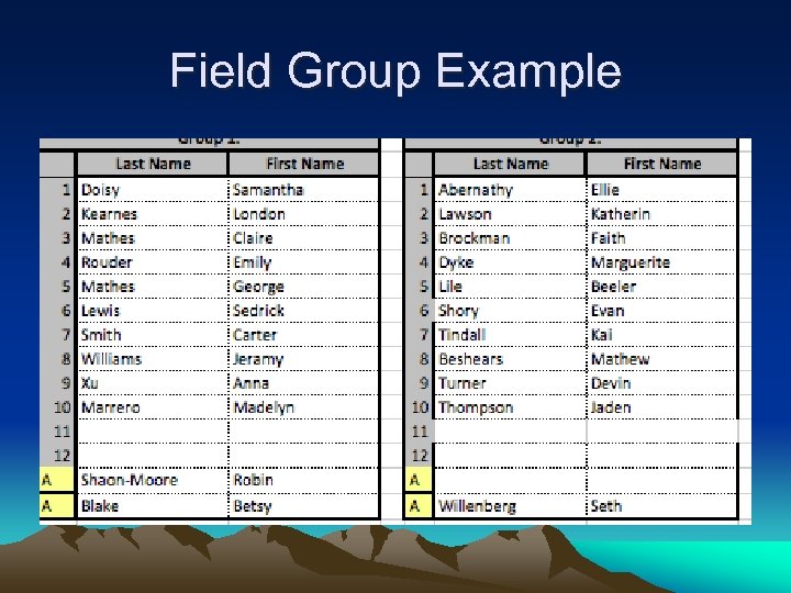 Field Group Example 