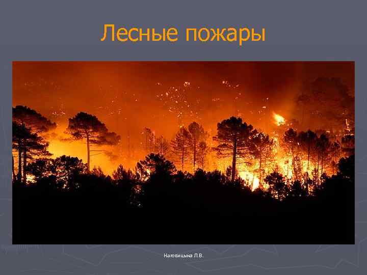 Лесные пожары Наговицына Л. В. 
