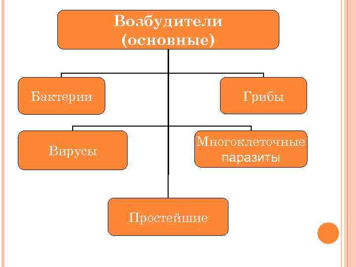 Возбудители (основные) Грибы Бактерии Вирусы Многоклеточные паразиты Простейшие 