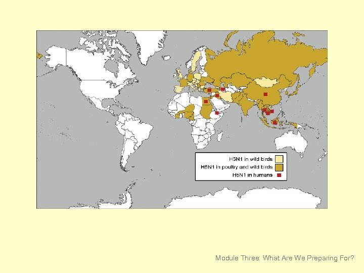 Module Three: What Are We Preparing For? 