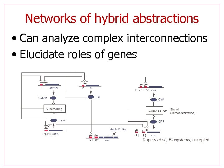 Networks of hybrid abstractions • Can analyze complex interconnections • Elucidate roles of genes