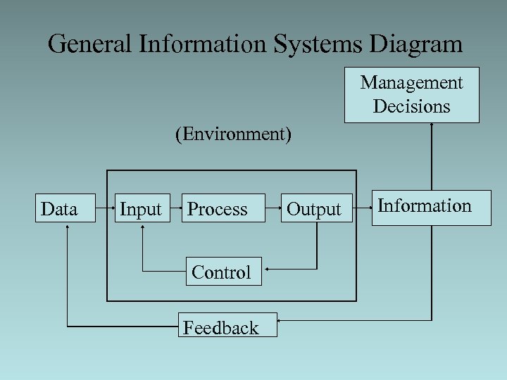 General Information Systems Diagram Management Decisions (Environment) Data Input Process Control Feedback Output Information