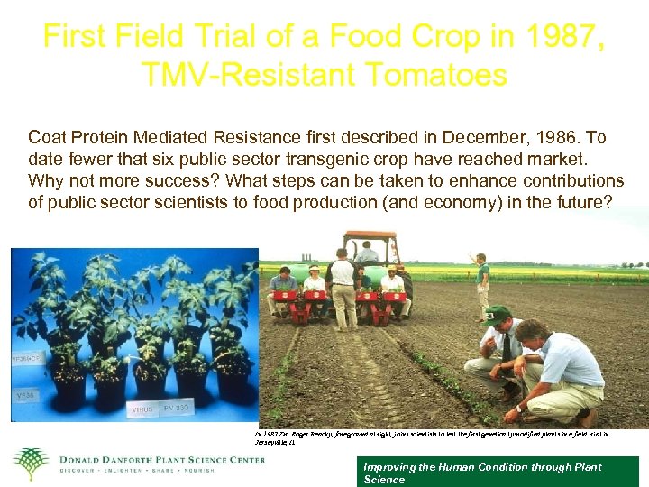 First Field Trial of a Food Crop in 1987, TMV-Resistant Tomatoes Coat Protein Mediated