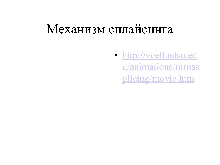 Механизм сплайсинга • http: //vcell. ndsu. ed u/animations/mrnas plicing/movie. htm 