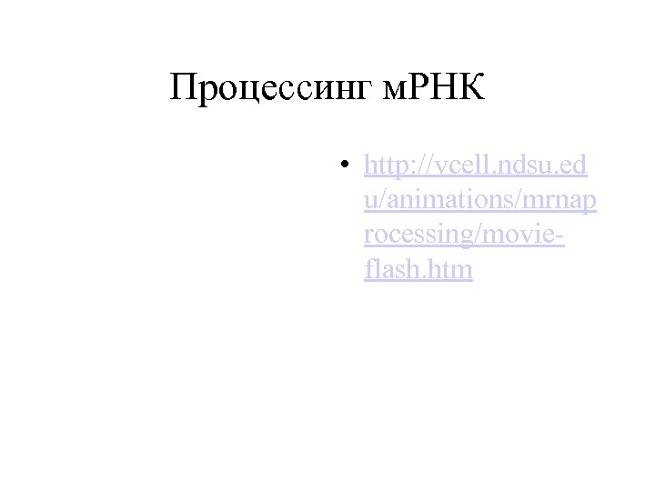 Процессинг м. РНК • http: //vcell. ndsu. ed u/animations/mrnap rocessing/movieflash. htm 