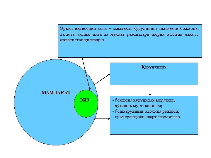 Эркин иқтисодий зона – мамлакат ҳудудининг имтиёзли божхона, валюта, солиқ, виза ва меҳнат режимлари