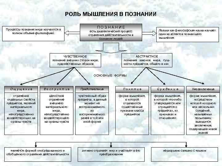 РОЛЬ МЫШЛЕНИЯ В ПОЗНАНИИ Процессы познания мира изучаются в полном объеме философией. ПОЗНАНИЕ есть