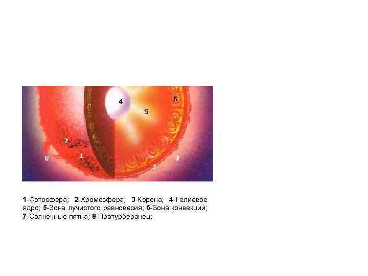 Сделайте рисунок солнца и укажите корону хромосфера фотосфера зона конвекции и ядро