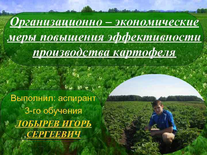 Организационно – экономические меры повышения эффективности производства картофеля Выполнил: аспирант 3 -го обучения ЛОБЫРЕВ