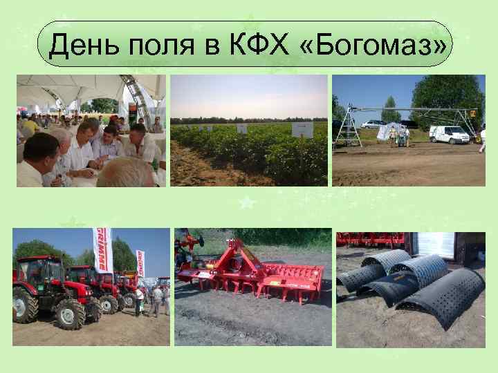 День поля в КФХ «Богомаз» 