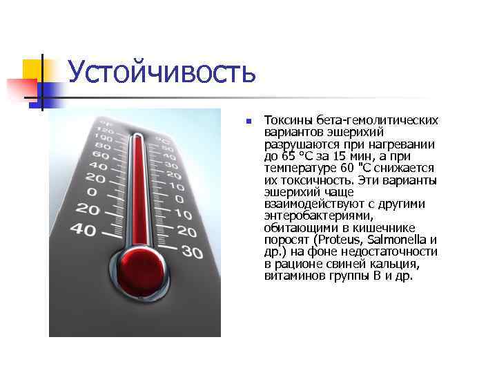 Устойчивость n Токсины бета-гемолитических вариантов эшерихий разрушаются при нагревании до 65 °С за 15