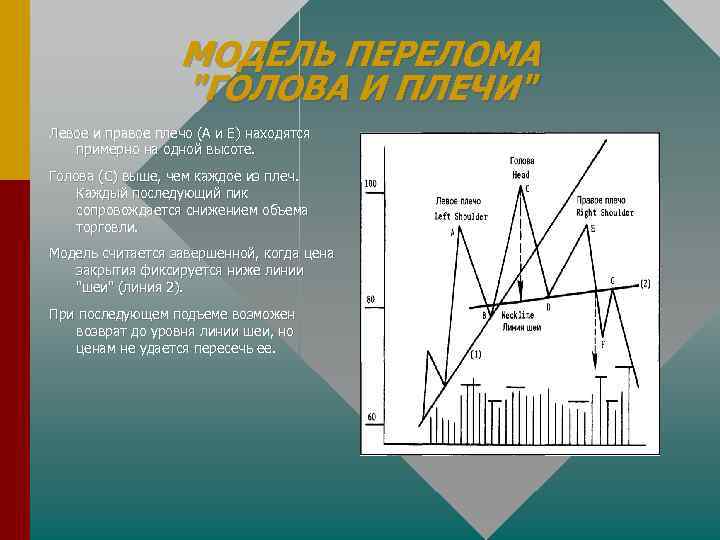 МОДЕЛЬ ПЕРЕЛОМА "ГОЛОВА И ПЛЕЧИ" Левое и правое плечо (А и Е) находятся примерно