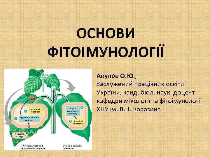 ОСНОВИ ФІТОІМУНОЛОГІЇ Акулов О. Ю. , Заслужений працівник освіти України, канд. біол. наук, доцент