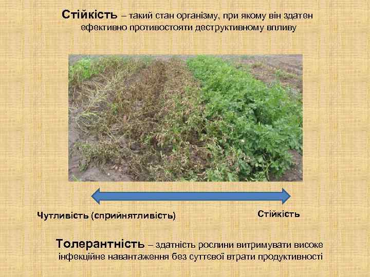 Стійкість – такий стан організму, при якому він здатен ефективно противостояти деструктивному впливу Чутливість