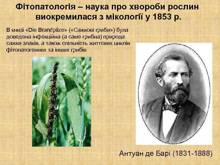 Фітопатологія – наука про хвороби рослин виокремилася з мікології у 1853 р. В книзі