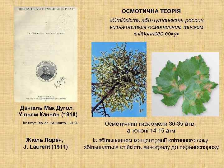 ОСМОТИЧНА ТЕОРІЯ «Стійкість або чутливість рослин визначається осмотичним тиском клітинного соку» Даніель Мак Дугол,