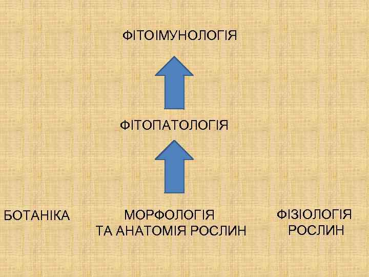 ФІТОІМУНОЛОГІЯ ФІТОПАТОЛОГІЯ БОТАНІКА МОРФОЛОГІЯ ТА АНАТОМІЯ РОСЛИН ФІЗІОЛОГІЯ РОСЛИН 