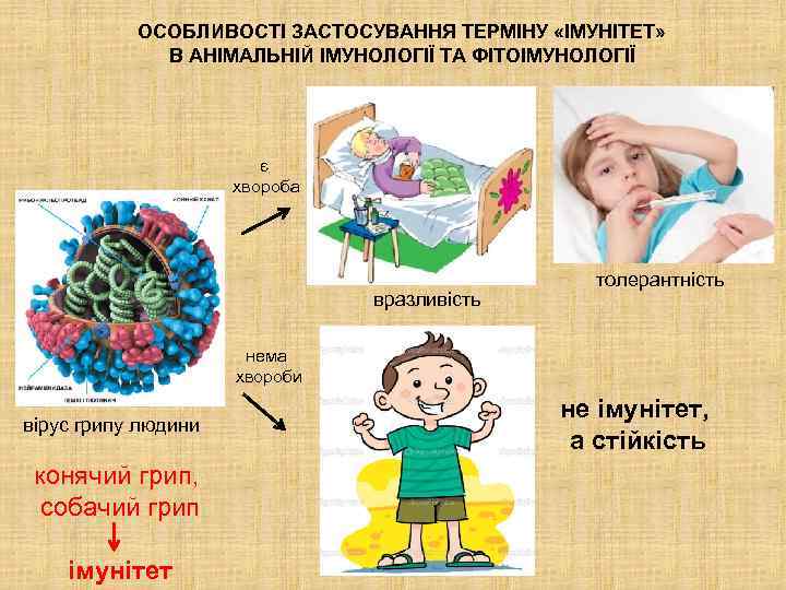 ОСОБЛИВОСТІ ЗАСТОСУВАННЯ ТЕРМІНУ «ІМУНІТЕТ» В АНІМАЛЬНІЙ ІМУНОЛОГІЇ ТА ФІТОІМУНОЛОГІЇ є хвороба вразливість толерантність нема