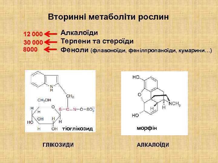 Вторинні метаболіти рослин Алкалоїди Терпени та стероїди Феноли (флавоноїди, фенілпропаноїди, кумарини…) тіоглікозид ГЛІКОЗИДИ морфін