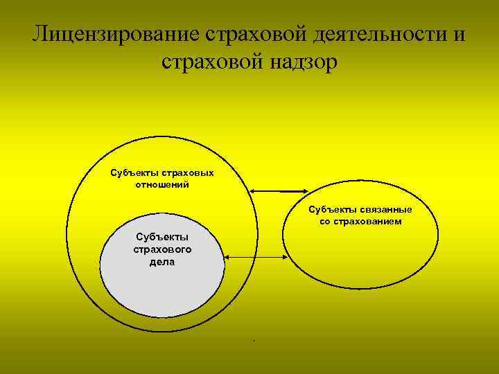 Лицензирование страховой деятельности и страховой надзор Субъекты страховых отношений Субъекты связанные со страхованием Субъекты