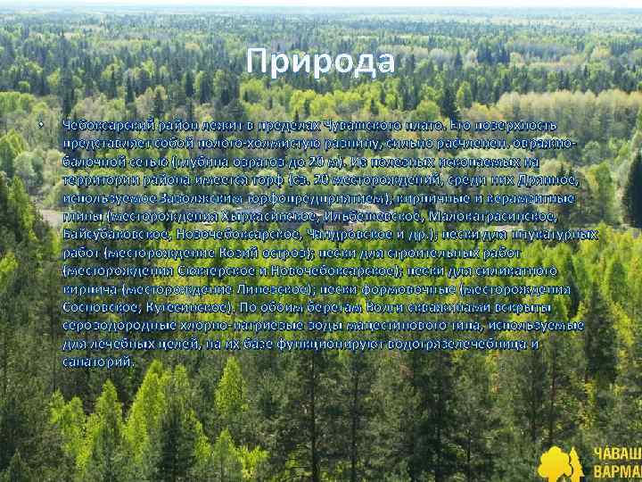Природа • Чебоксарский район лежит в пределах Чувашского плато. Его поверхность представляет собой полого-холмистую
