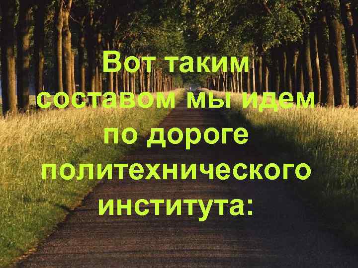 Вот таким составом мы идем по дороге политехнического института: 