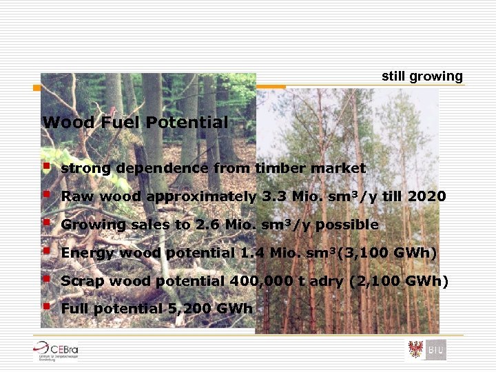 still growing Wood Fuel Potential § § § strong dependence from timber market Raw